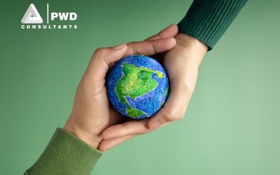 Sustainable Building Practices: How We Lead The Way